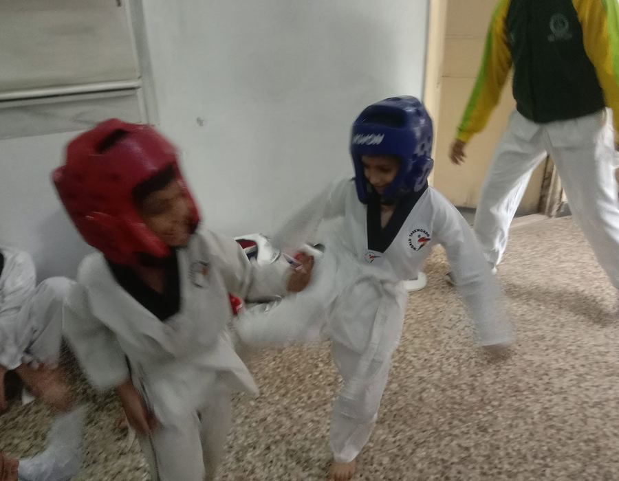 Taekwondo